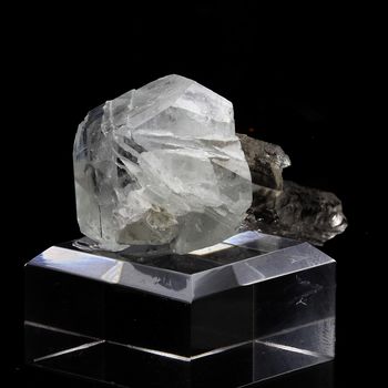 Datolite sur Danburite. 262.0 ct.