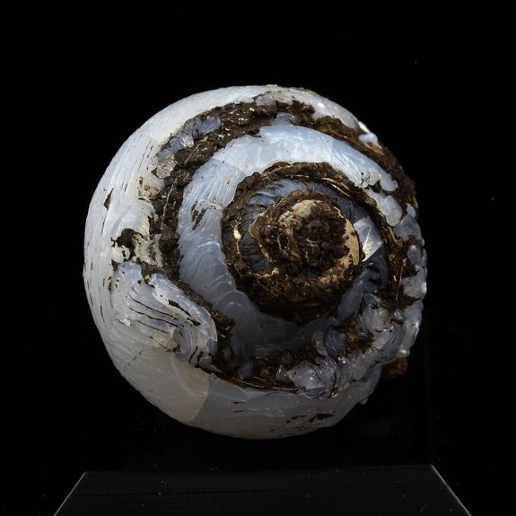 Hélix Ramondi en Lussatite (Opale-CT). 44.0 ct.