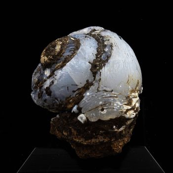 Hélix Ramondi en Lussatite (Opale-CT). 44.0 ct.