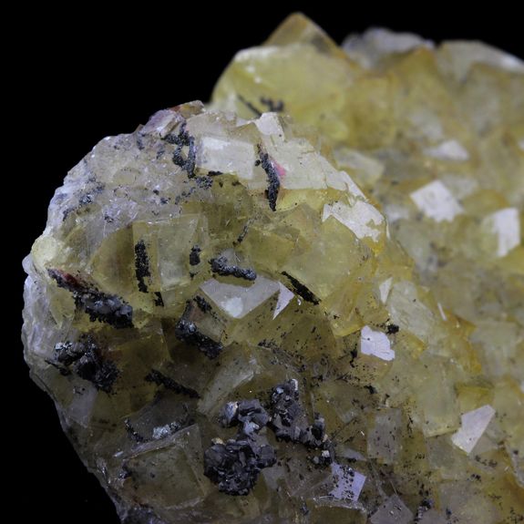 Fluorite + Pyrite. 1181.0 ct.