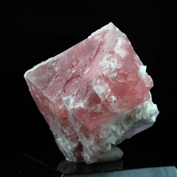 Fluorite rose. 81.0 ct.