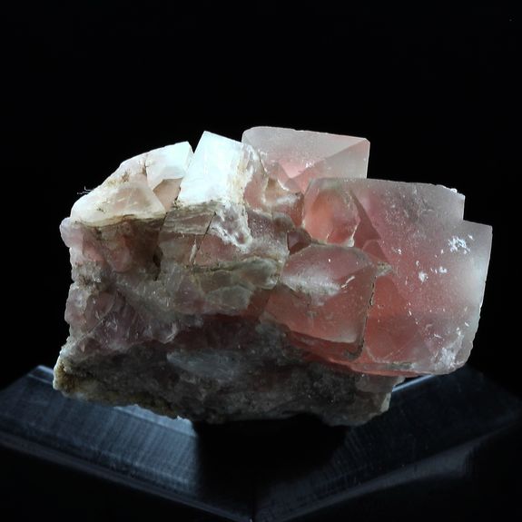 Fluorite rose. 90.0 ct.