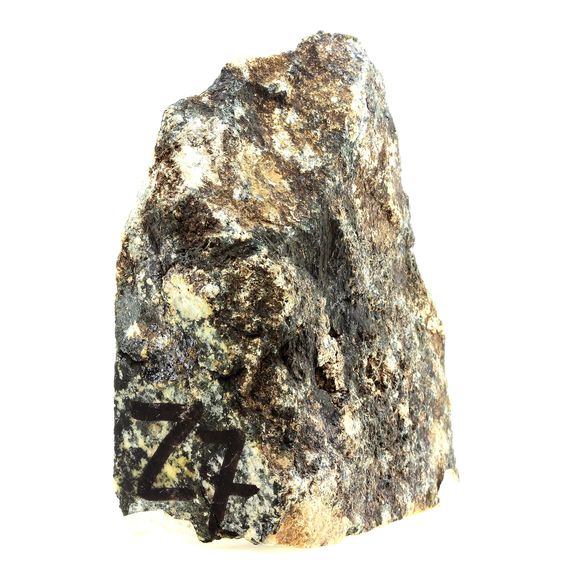 Orbicular Diorite.