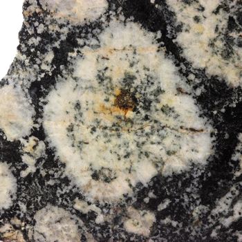 Orbicular Diorite.