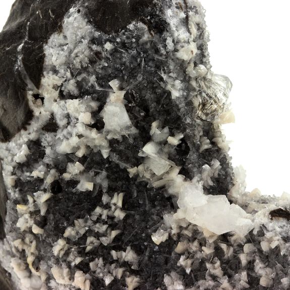 Septaria, Quartz Diamant + Dolomite. 1303.0 ct.