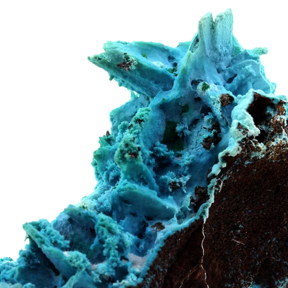 Chrysocolle. 518.0 ct.