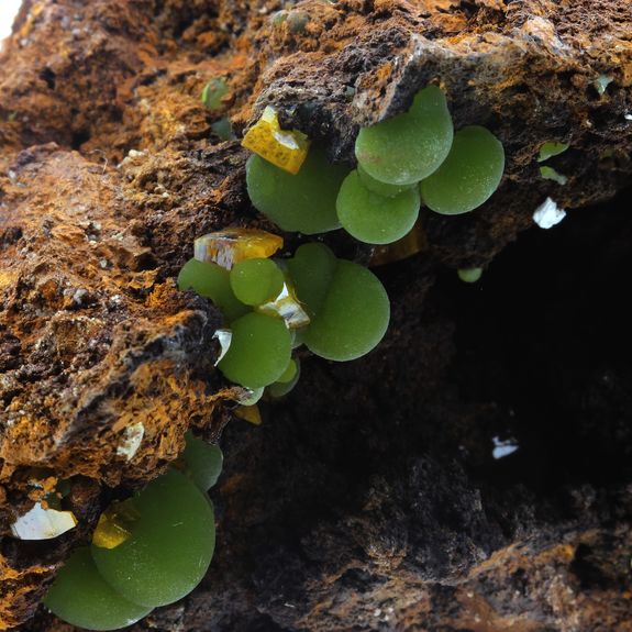 Mimetite, Wulfenite. 2620.0 ct.
