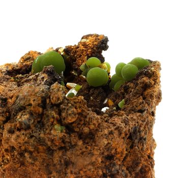 Mimetite, Wulfenite. 2620.0 ct.