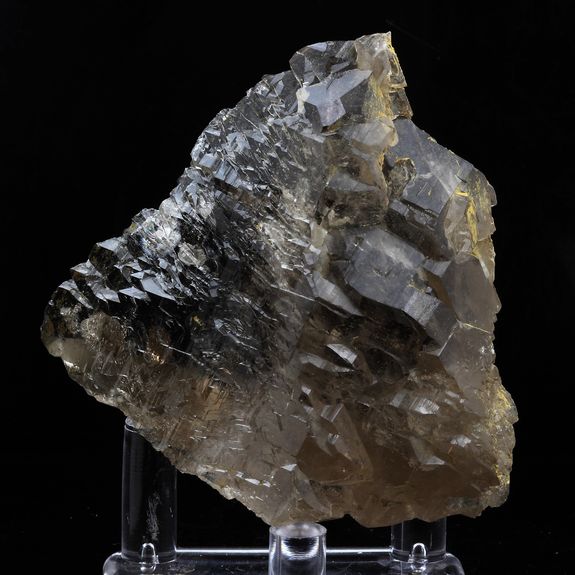 Quartz fumé. 585.0 ct.
