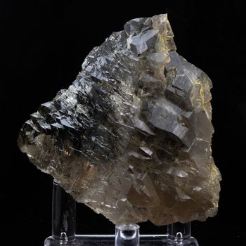 Quartz fumé. 585.0 ct.