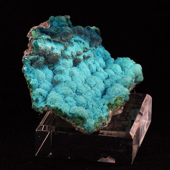 Chrysocolle.