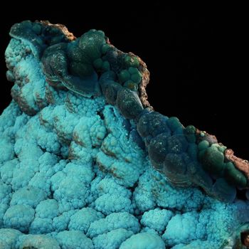 Chrysocolle.