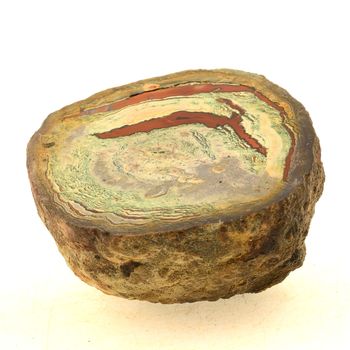 Lithophyse