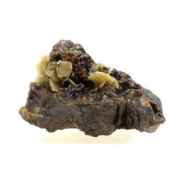 Sphalerite + Siderite. 157.0 ct.