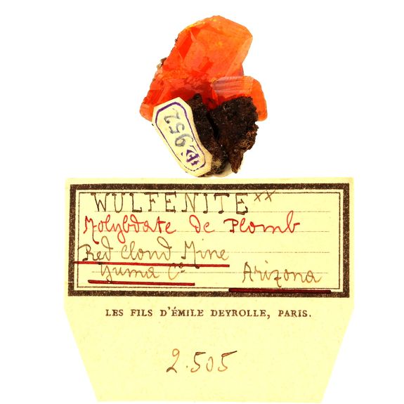 Wulfenite. 43.0 ct.