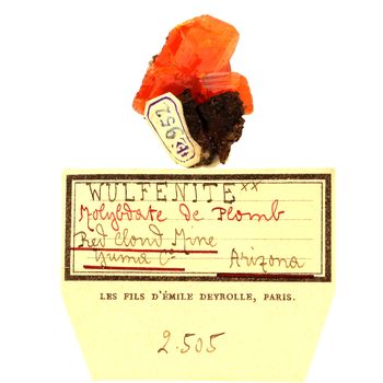 Wulfenite. 43.0 ct.