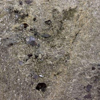 Brookite.