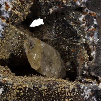 Septaria, Quartz.