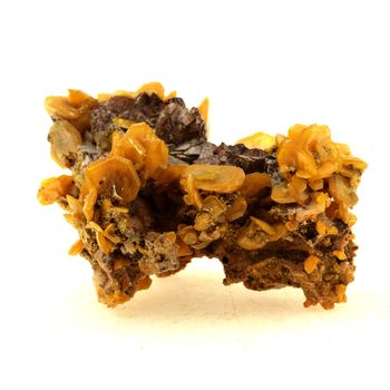Wulfenite + Siderite.