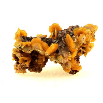 Wulfenite + Siderite.