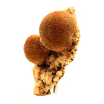 Thomsonite. 538.5 ct.