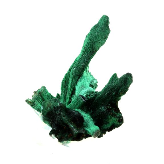 Malachite. 316.5 ct.