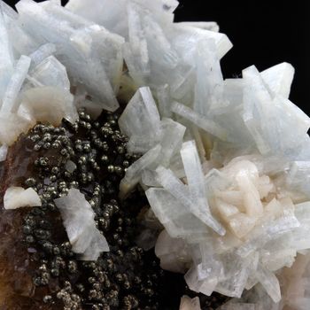 Fluorite, Baryte, Pyrite.