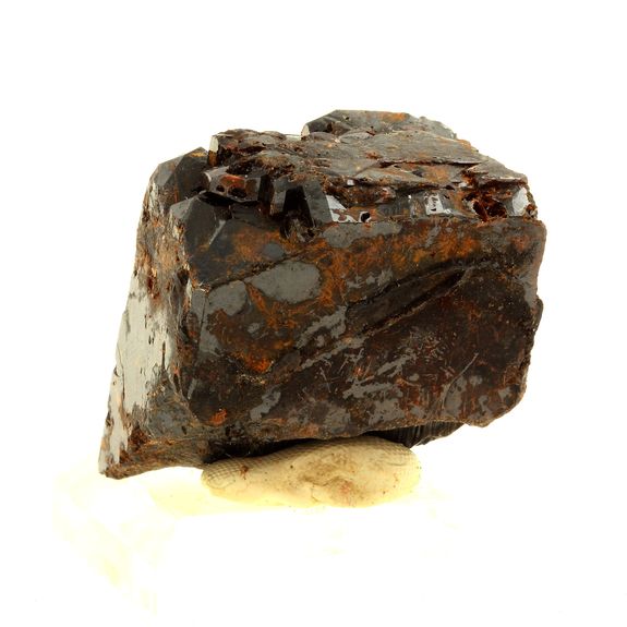 Tantalite-(Mn). 463.0 ct.