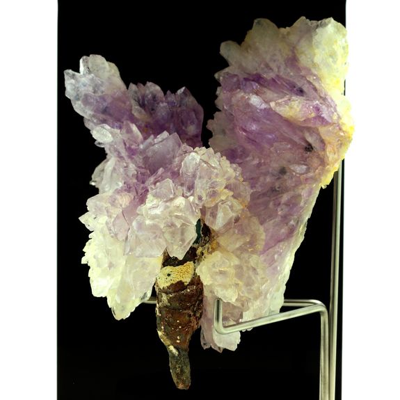 Quartz Améthyste. 1557.0 ct.