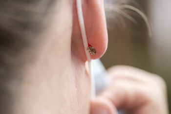 Fermoir sécurisé Boucles d'oreille hypoallergénique LOX, Aloxia.