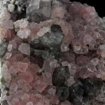 Fluorite rose. 819.0 ct.