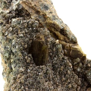 Vesuvianite. 530.0 ct.