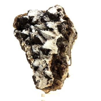 Calcite + Palygorskite . 1414.5 ct.