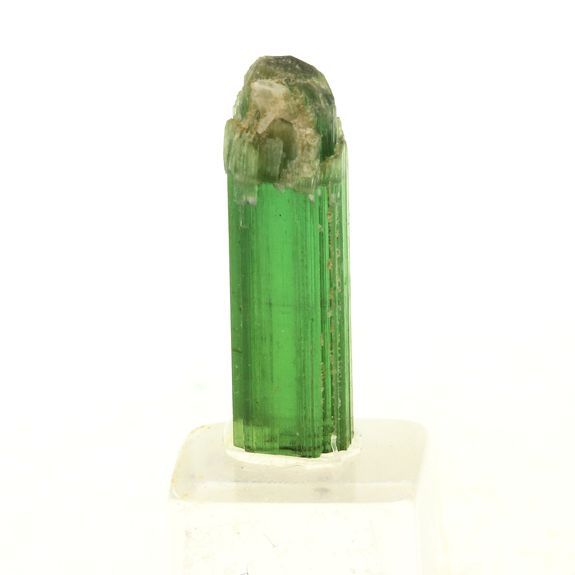 Tourmaline. 21.0 ct.