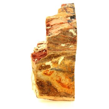 Bois pétrifié. 2402.0 ct.