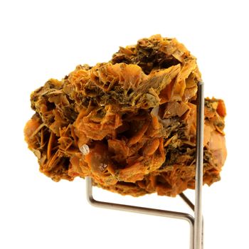 Wulfenite. 282.5 ct.