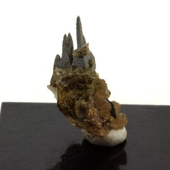 Anatase (11mm) + Quartz. 18.0 ct.