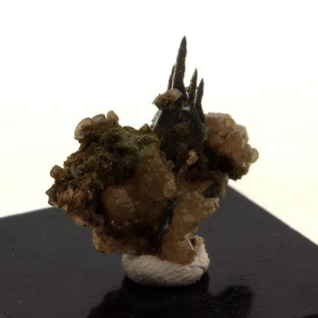 Anatase (11mm) + Quartz. 18.0 ct.