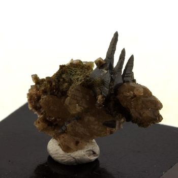 Anatase (11mm) + Quartz. 18.0 ct.