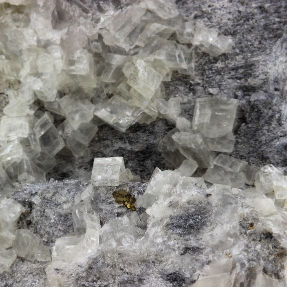 Pyrite + Dolomite. 895.5 ct.