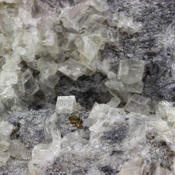 Pyrite + Dolomite. 895.5 ct.