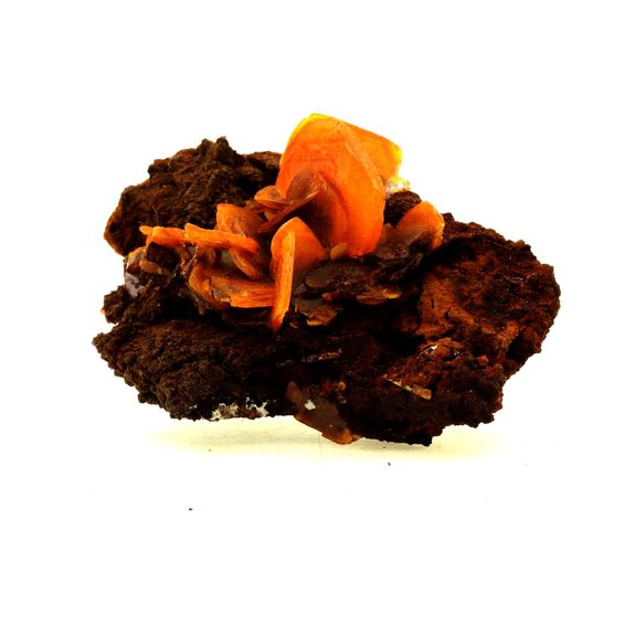 Wulfenite. 334.0 ct.