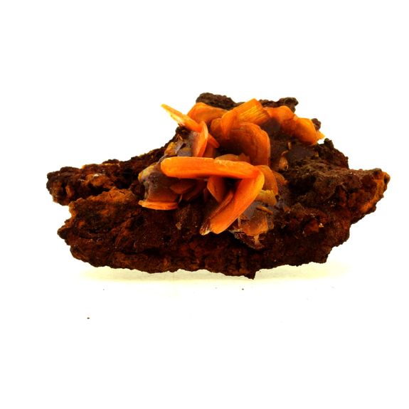 Wulfenite. 334.0 ct.