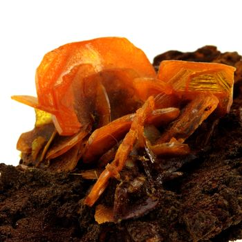 Wulfenite. 334.0 ct.