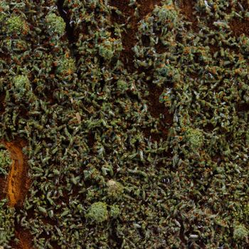 Pyromorphite. 1135.30 ct.