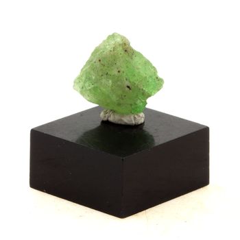 Grenat Tsavorite. 9.5 ct.