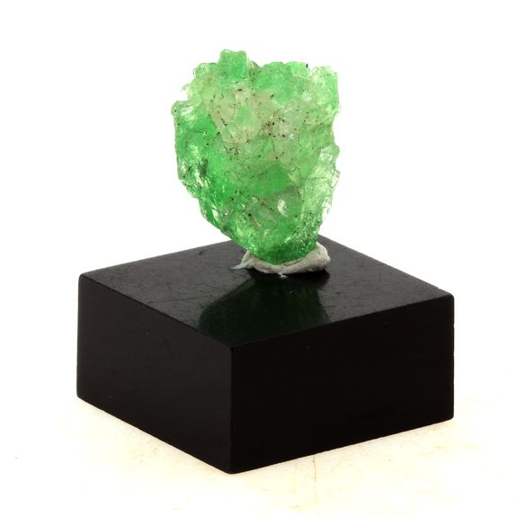 Grenat Tsavorite. 9.1 ct.