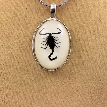 Collier Scorpion Authentique.