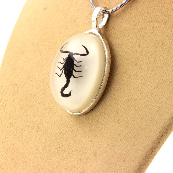 Collier Scorpion Authentique.