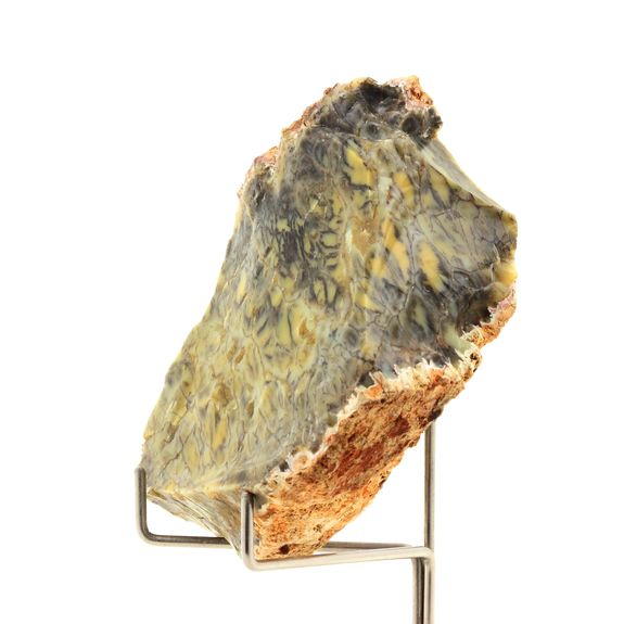 Opale dendritique. 404.45 ct.